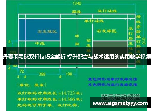 丹麦羽毛球双打技巧全解析 提升配合与战术运用的实用教学视频